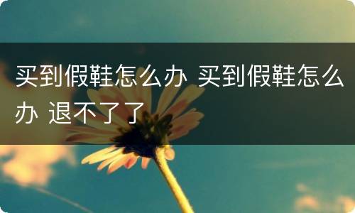 买到假鞋怎么办 买到假鞋怎么办 退不了了
