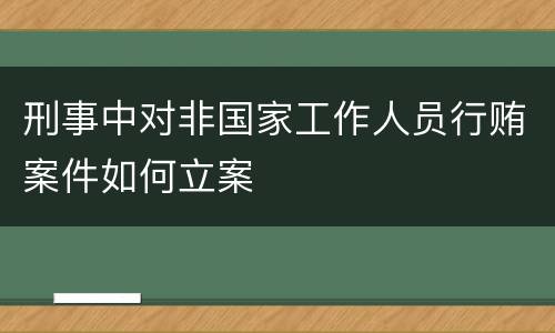 刑事中对非国家工作人员行贿案件如何立案