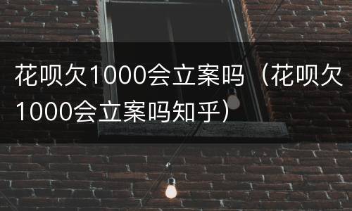 花呗欠1000会立案吗（花呗欠1000会立案吗知乎）