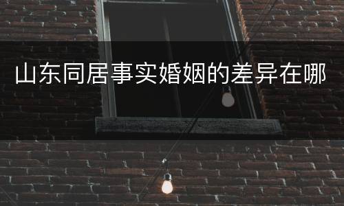 山东同居事实婚姻的差异在哪
