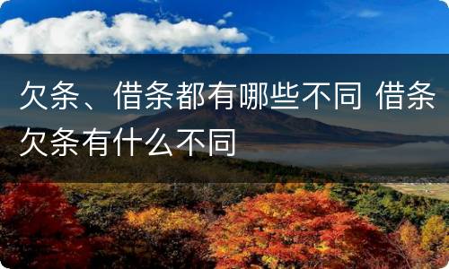 欠条、借条都有哪些不同 借条欠条有什么不同