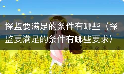 探监要满足的条件有哪些（探监要满足的条件有哪些要求）