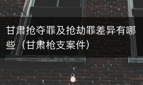 甘肃抢夺罪及抢劫罪差异有哪些（甘肃枪支案件）