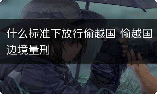 什么标准下放行偷越国 偷越国边境量刑