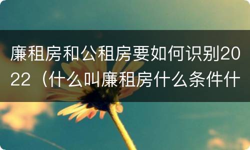廉租房和公租房要如何识别2022（什么叫廉租房什么条件什么叫公租房）