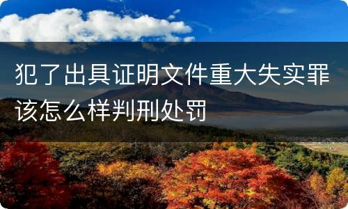 犯了出具证明文件重大失实罪该怎么样判刑处罚