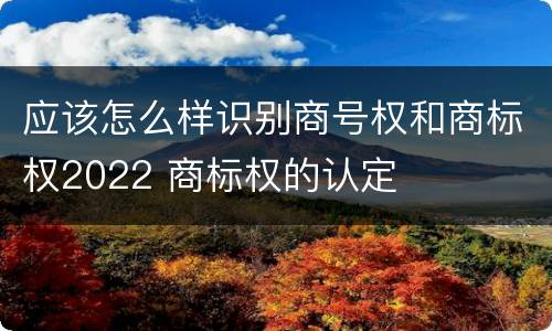 应该怎么样识别商号权和商标权2022 商标权的认定