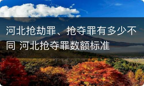 河北抢劫罪、抢夺罪有多少不同 河北抢夺罪数额标准