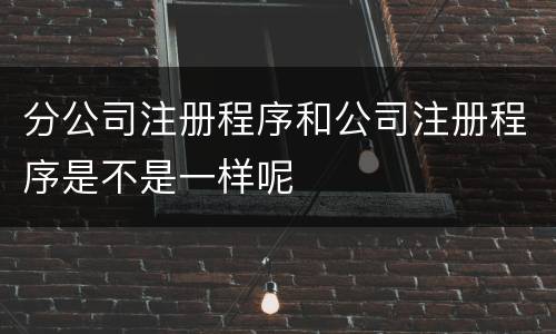 分公司注册程序和公司注册程序是不是一样呢
