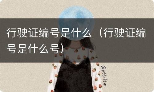 行驶证编号是什么（行驶证编号是什么号）
