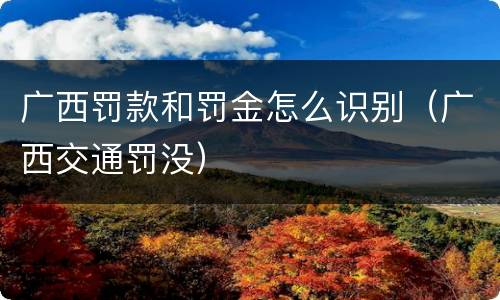 广西罚款和罚金怎么识别（广西交通罚没）