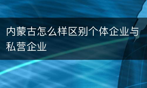 内蒙古怎么样区别个体企业与私营企业