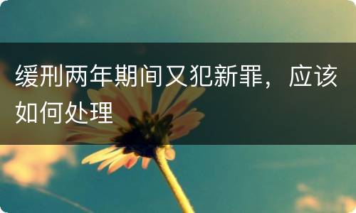 缓刑两年期间又犯新罪，应该如何处理