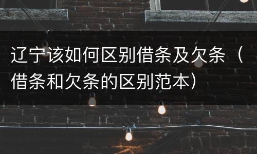 辽宁该如何区别借条及欠条（借条和欠条的区别范本）