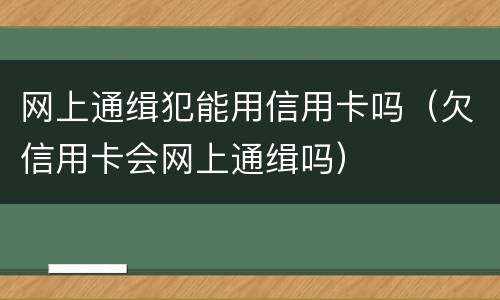 网上通缉犯能用信用卡吗（欠信用卡会网上通缉吗）