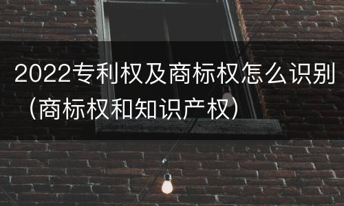 2022专利权及商标权怎么识别（商标权和知识产权）