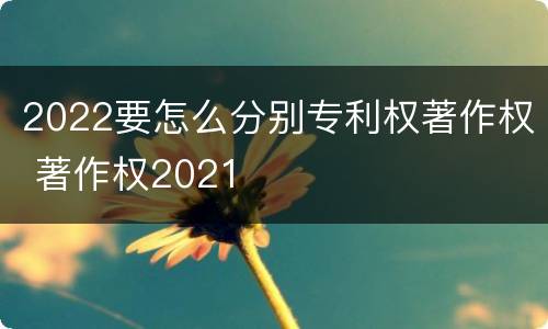 2022要怎么分别专利权著作权 著作权2021