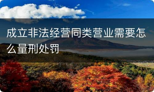 成立非法经营同类营业需要怎么量刑处罚