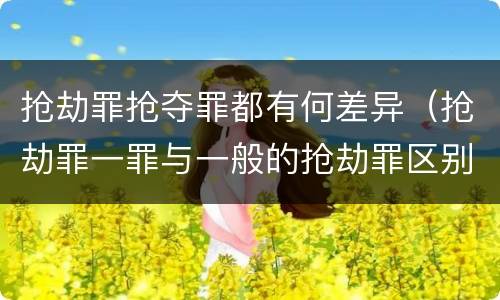 抢劫罪抢夺罪都有何差异（抢劫罪一罪与一般的抢劫罪区别）