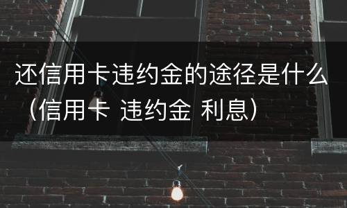 还信用卡违约金的途径是什么（信用卡 违约金 利息）