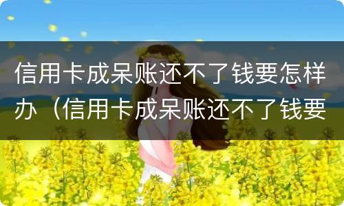信用卡成呆账还不了钱要怎样办（信用卡成呆账还不了钱要怎样办呢）