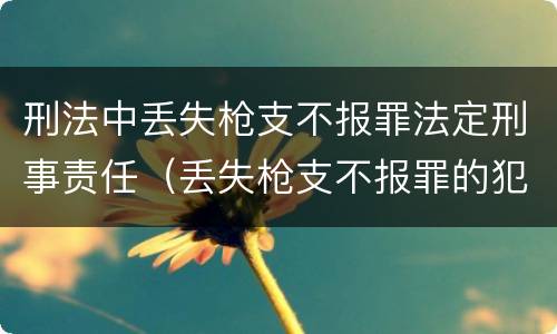 刑法中丢失枪支不报罪法定刑事责任（丢失枪支不报罪的犯罪主体只能是什么）