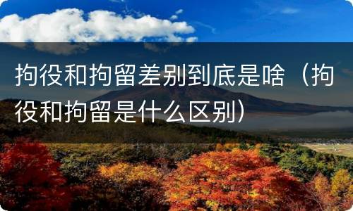 拘役和拘留差别到底是啥（拘役和拘留是什么区别）