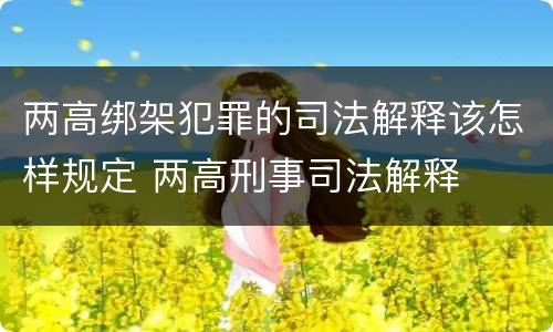 两高绑架犯罪的司法解释该怎样规定 两高刑事司法解释