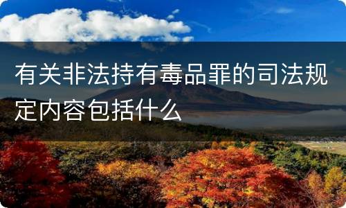 有关非法持有毒品罪的司法规定内容包括什么