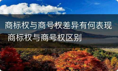 商标权与商号权差异有何表现 商标权与商号权区别