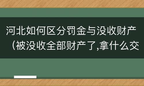 河北如何区分罚金与没收财产（被没收全部财产了,拿什么交罚金）