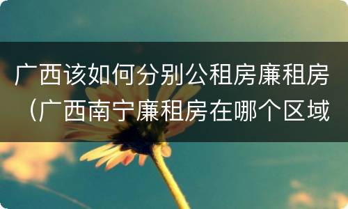 广西该如何分别公租房廉租房（广西南宁廉租房在哪个区域）