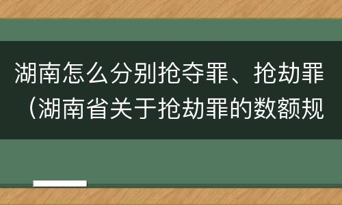 湖南怎么分别抢夺罪、抢劫罪（湖南省关于抢劫罪的数额规定）