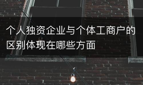 个人独资企业与个体工商户的区别体现在哪些方面