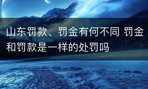 山东罚款、罚金有何不同 罚金和罚款是一样的处罚吗