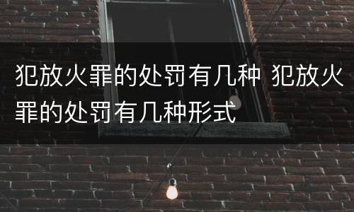 犯放火罪的处罚有几种 犯放火罪的处罚有几种形式