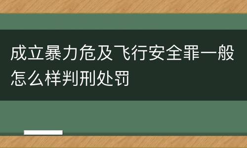 成立暴力危及飞行安全罪一般怎么样判刑处罚