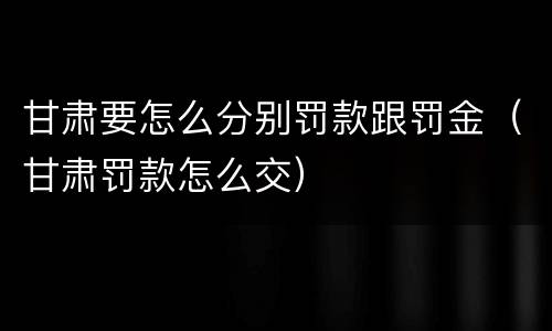 甘肃要怎么分别罚款跟罚金（甘肃罚款怎么交）
