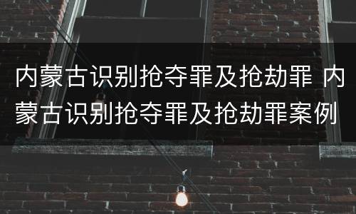 内蒙古识别抢夺罪及抢劫罪 内蒙古识别抢夺罪及抢劫罪案例