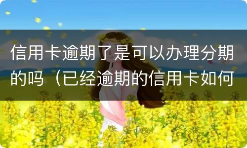信用卡逾期了是可以办理分期的吗（已经逾期的信用卡如何办理分期）