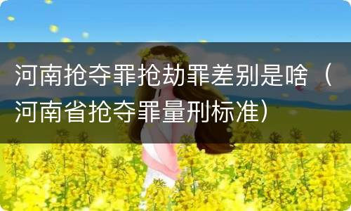 河南抢夺罪抢劫罪差别是啥（河南省抢夺罪量刑标准）
