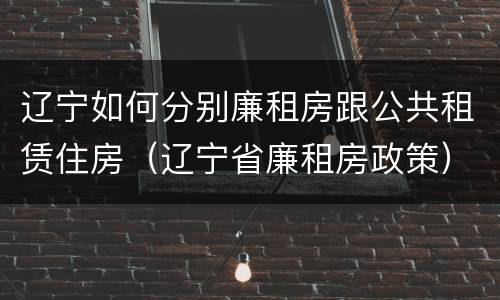 辽宁如何分别廉租房跟公共租赁住房（辽宁省廉租房政策）