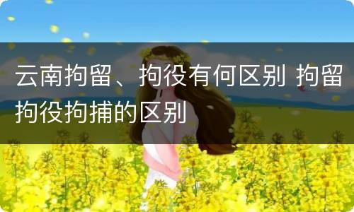 云南拘留、拘役有何区别 拘留拘役拘捕的区别
