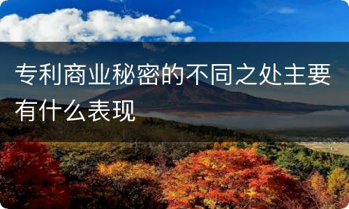 专利商业秘密的不同之处主要有什么表现