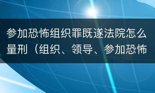 参加恐怖组织罪既遂法院怎么量刑（组织、领导、参加恐怖组织罪）