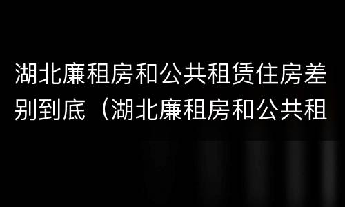 湖北廉租房和公共租赁住房差别到底（湖北廉租房和公共租赁住房差别到底是什么）