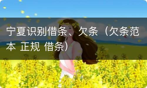 宁夏识别借条、欠条（欠条范本 正规 借条）