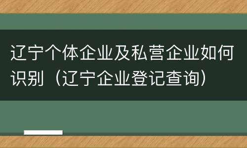 辽宁个体企业及私营企业如何识别（辽宁企业登记查询）