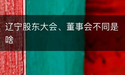 辽宁股东大会、董事会不同是啥
