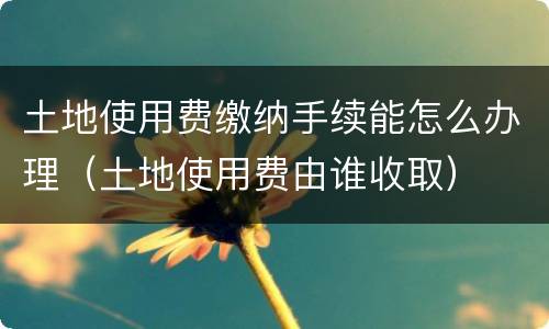 土地使用费缴纳手续能怎么办理（土地使用费由谁收取）
